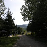 IMG_5126